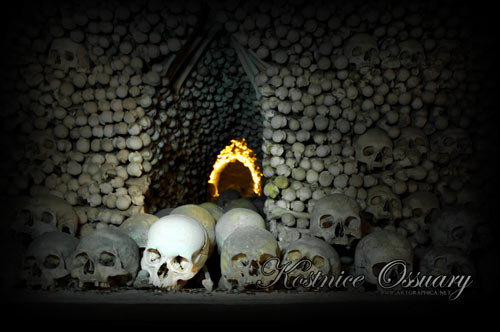 church of bones