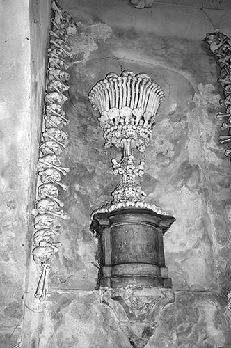 Chalice, Bone Art, sedlec ossuary, bone church, chapel photograph