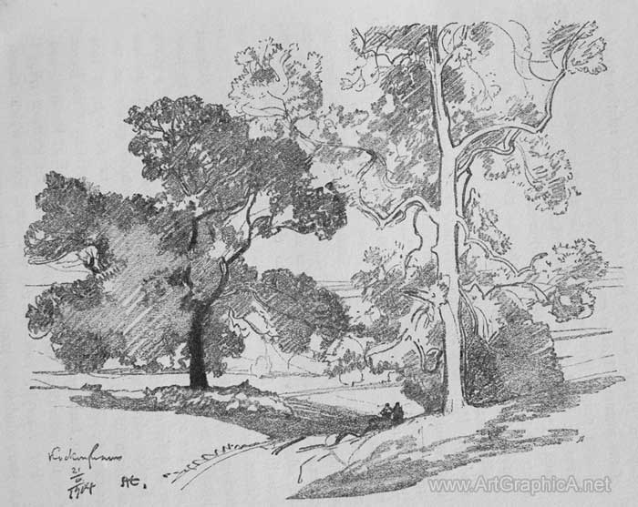tree drawing, sketching trees