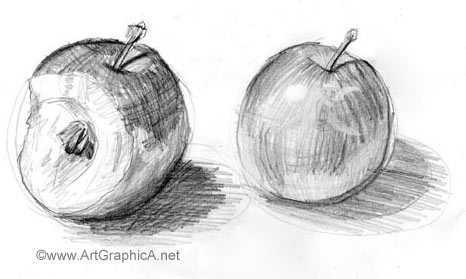 learning to sketch, still life apple drawing