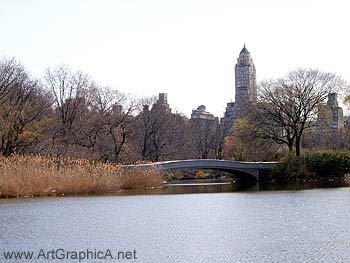 new york central park