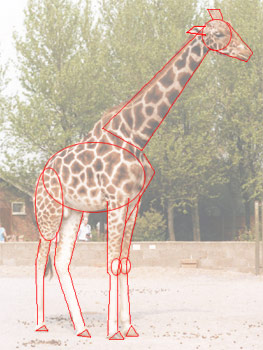 giraffe photo reference