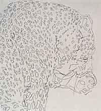 leopard drawing for watercolour painting