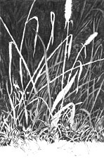 drawing realistic grass, landscape, free art lesson