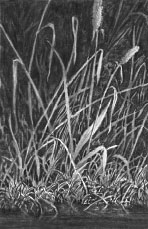 grass, negative drawing lesson