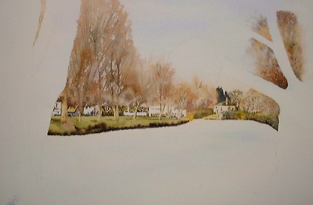 new zealand watercolor