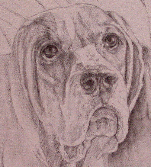 basset hound art