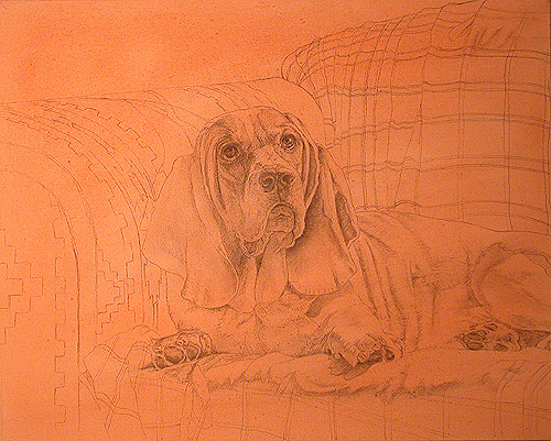 painting basset hounds