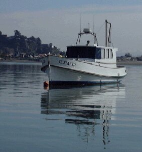 boat in new zealand harbor