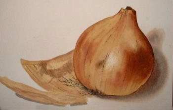 learning how to paint onions