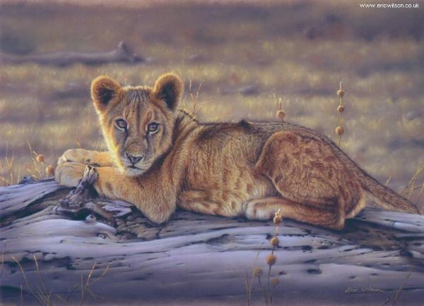 wildlife pastel lesson