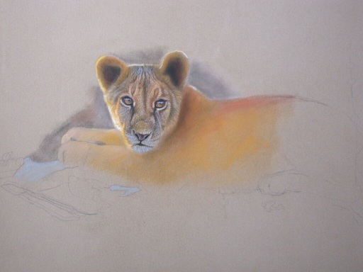 lion cub, pastel art