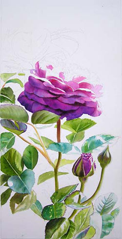 rose art, free watercolor tutorial, how to paint a rose