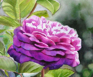 painting roses in watercolor, art instruction, free painting demo