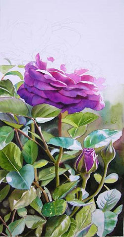 rose art, free watercolor tutorial, how to paint a rose