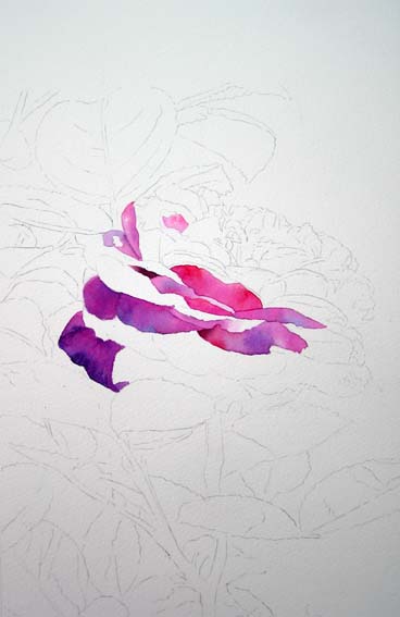 rose painting, free watercolor instruction, how to paint roses