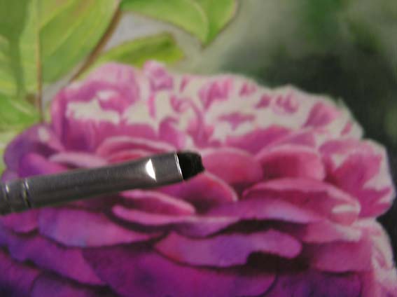 watercolor rose tutorial, free watercolor instruction, art instruction