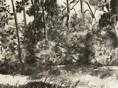 charcoal foliage, drawing trees, free art demos