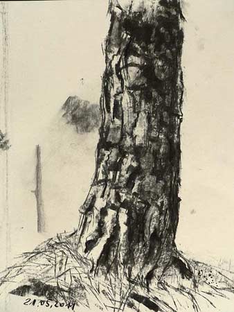 charcoal tree, free art lesson