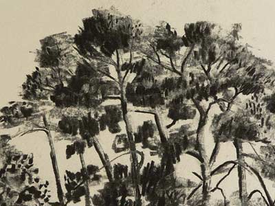 drawing trees en masse, charcoal demo