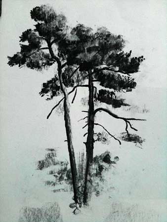 how to draw pine trees, charcoal demo