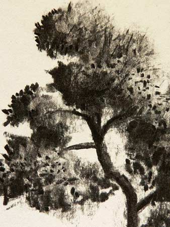 pine needles, charcoal art demonstration