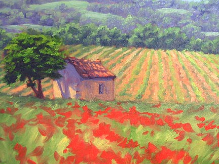 red poppy landscape