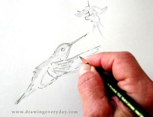 learn to sketch, free sketching demo