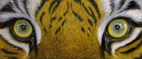 tigre lição pintura a óleo