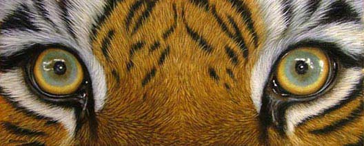 tiger art tutorial
