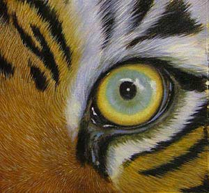 free art lesson free art lesson