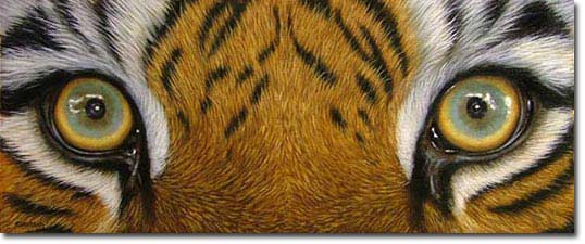 pintar um tigre