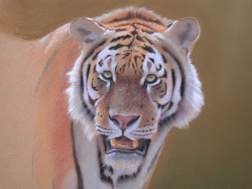 painting art ideas. tiger art tutorial, free