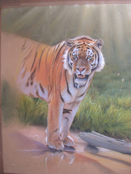 tigre lição pastel