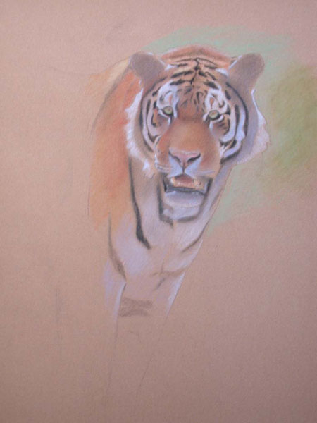 how to paint a tiger