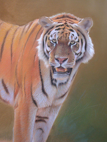 how to paint wildlife