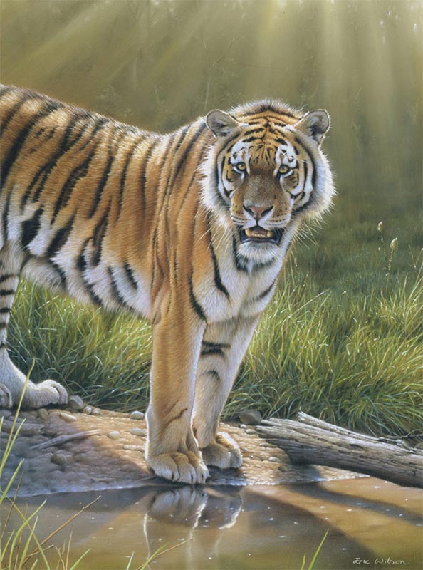 tiger painting, photorealism