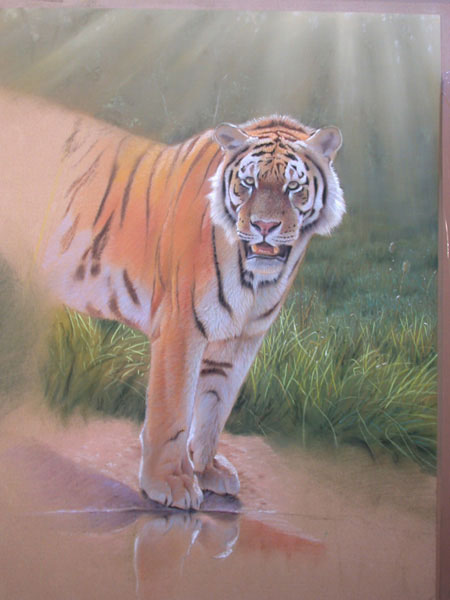 Realistic Tiger Painting Art Lesson - Pastels