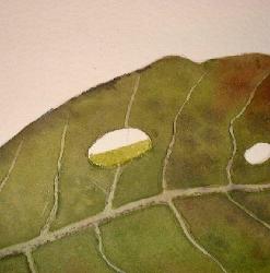 learn to paint leaves
