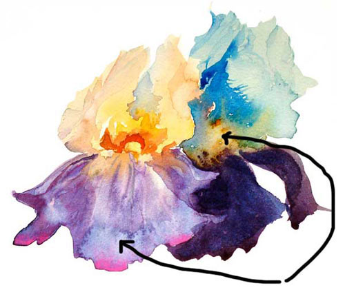 iris flower watercolor painting watercolor blooms free watercolor tips