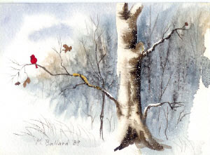 bird on snow covered tree