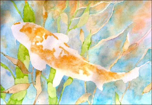 koi carp painting