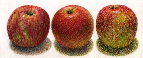 color pencil hatching