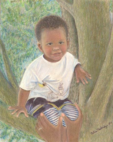child in tree by Celia Partridge