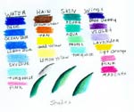color pencil drawing colors