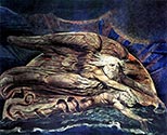 Elohim creating Adam by William Blake