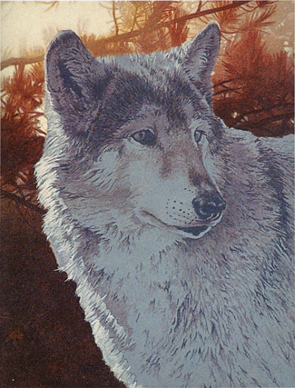 wolf painting tutorial, acrylic art instruction, acrylic painting  instruction, wolf, free wildlife art