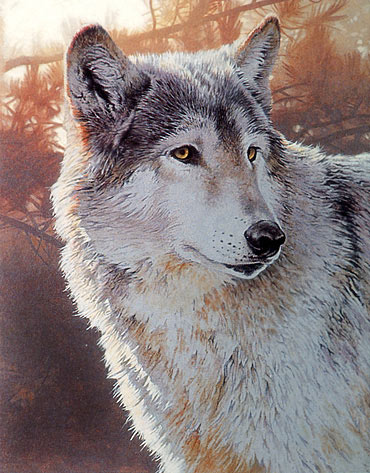 acrylic wolf art