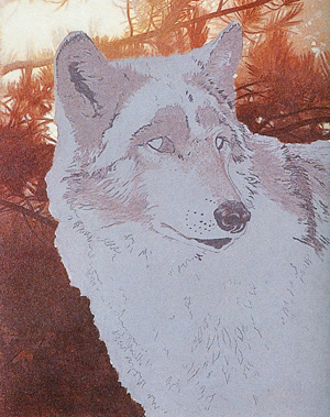 painting a wolf in washes