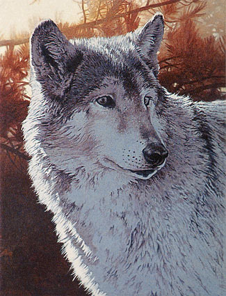 wolf art, free acrylic art instruction, acrylic painting demo,  wolf, wildlife art